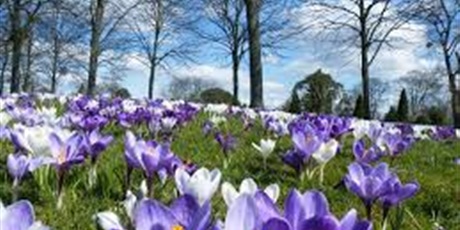 Powiększ grafikę: marzec-677441.jpg