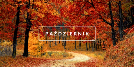Powiększ grafikę: pazdziernik-714302.jpg